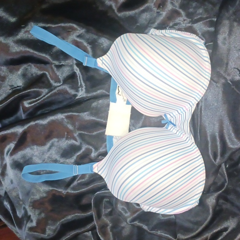 Striped Maidenform Bra 40DD